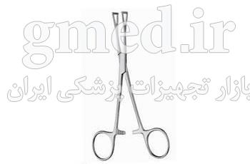 پنس-مثلثی-سوما